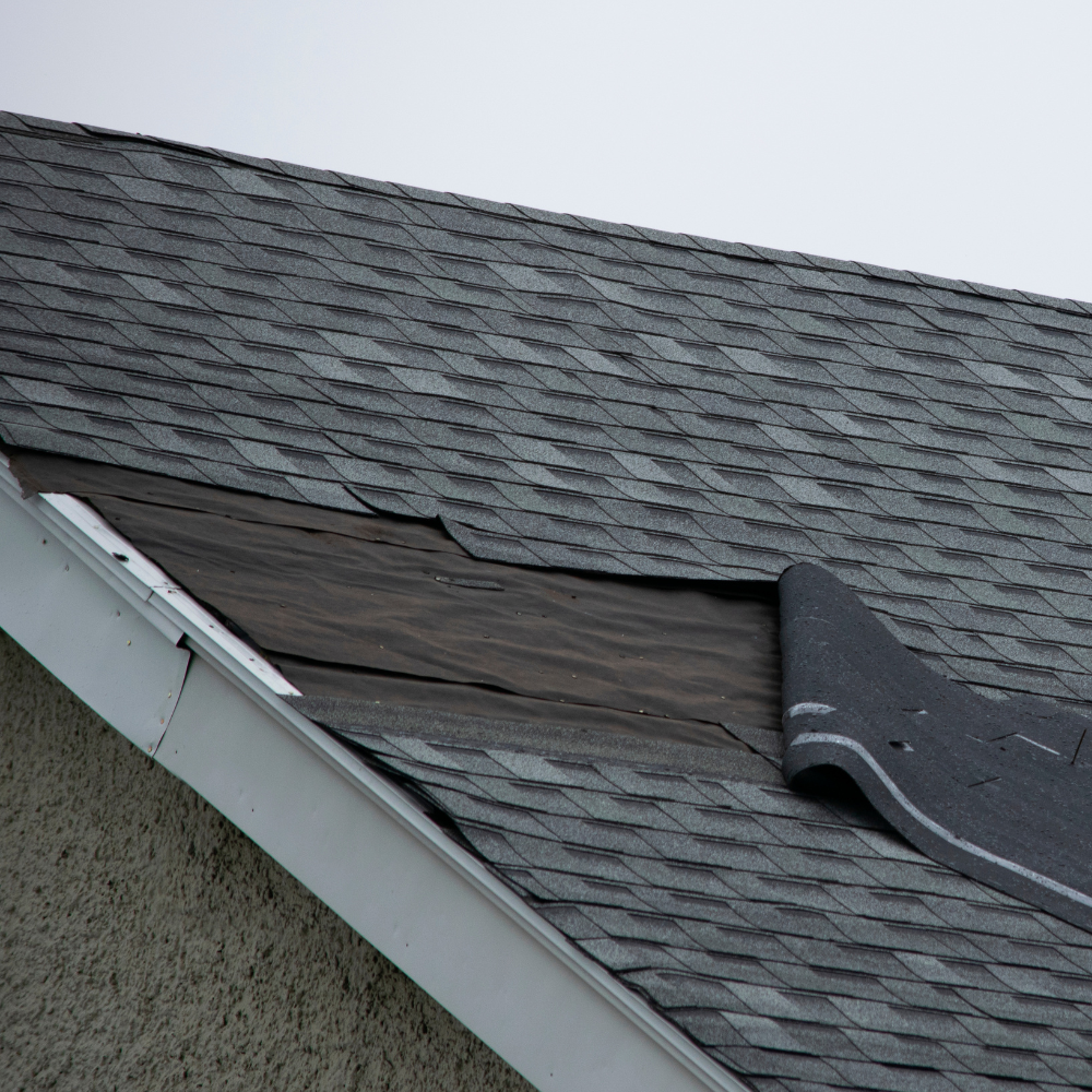 Best Roofing Installation and Repair Services in Northern and Central 